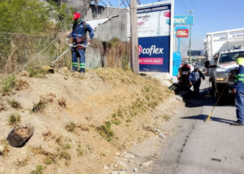 servicios-públicos-monterrey-obras-de-mantenimiento-calles-y-plazas