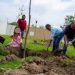 reforestación-en-Escobedo-Mijes-áreas-verdes