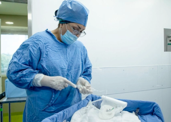 cirugías estéticas cofepris secretaría de salud clínicas