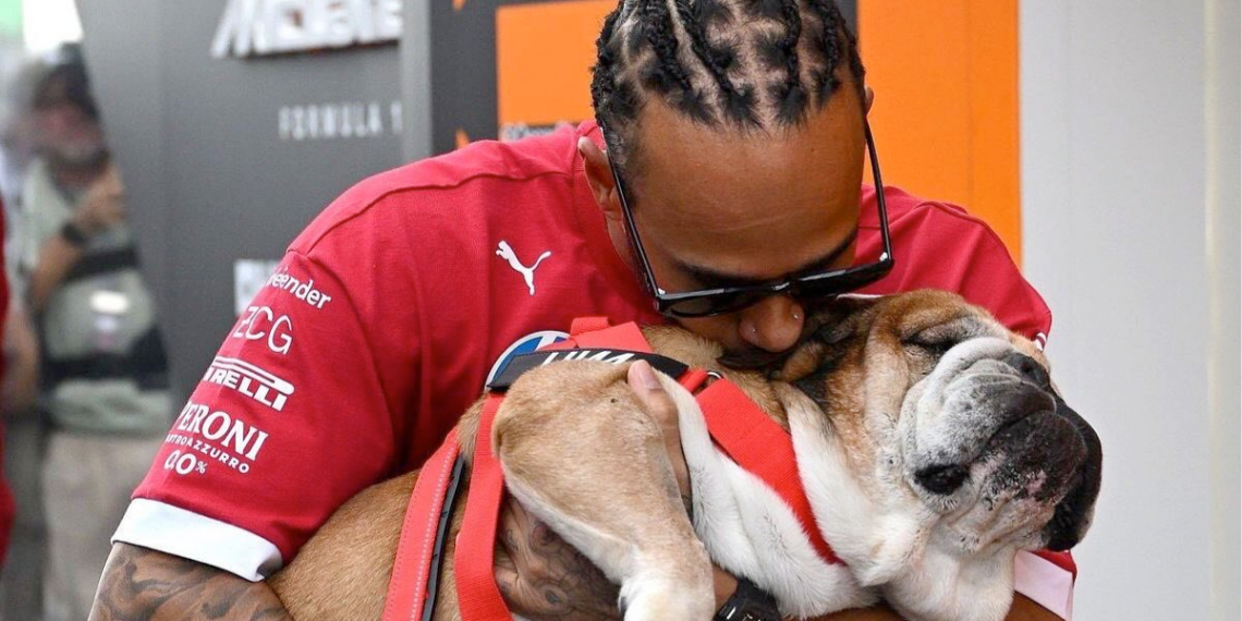 Luto, Fórmula 1, Roscoe, Lewis Hamilton, Gran Premio Singapur