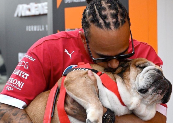 Luto, Fórmula 1, Roscoe, Lewis Hamilton, Gran Premio Singapur