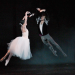 giselle, ballet de monterrey, temporada, gala, teatro de la ciudad