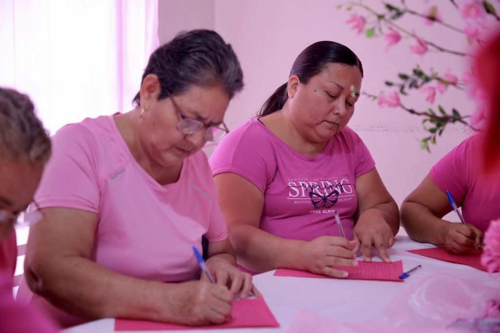 cáncer de mama, Pasarela de la Vida, Casa en Rosa, Andrés Mijes