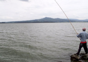 equipo para pescar, pesca deportiva, presas de Nuevo León, lobina negra, reglamento de pesca