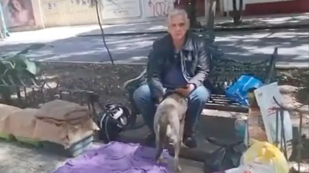 Alejandro Landero, situación de calle, Rosa Salvaje, mascotas, actor mexicano, apoyo vecinal