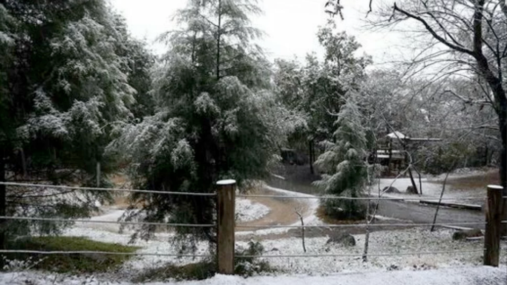 Reserva Natural Chipinque, parque ecológico, conservación ambiental, bienestar y naturaleza, Nuevo León