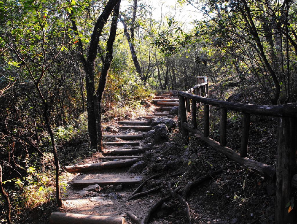 Reserva Natural Chipinque, parque ecológico, conservación ambiental, bienestar y naturaleza, Nuevo León