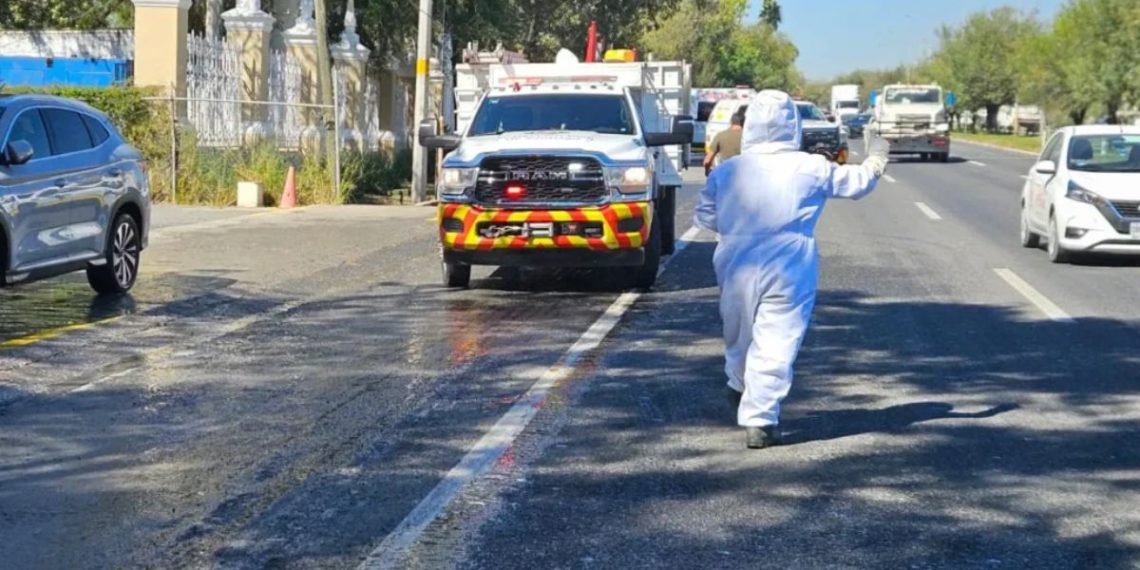 ABEJAS-SANTIAGO-CARRETERA-NACIONAL