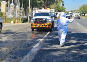 ABEJAS-SANTIAGO-CARRETERA-NACIONAL