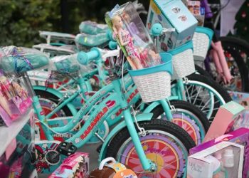 POSADAS-DIF-SANTIAGO-2025