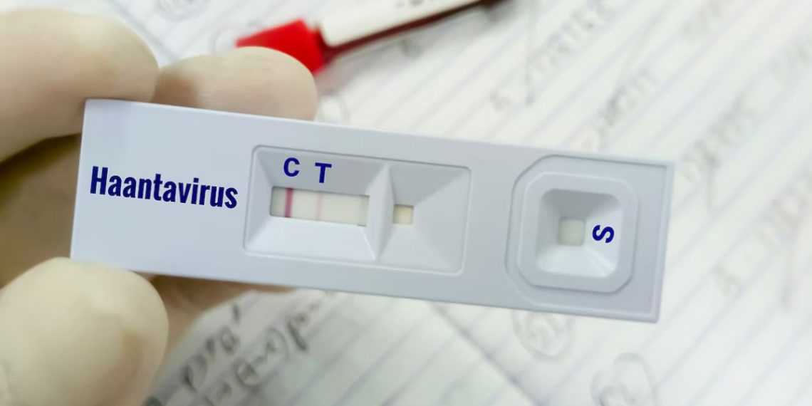 Gloved hand holding a rapid test card labeled Haantavirus; test window shows a single line at C (control) and no line at T (negative result).