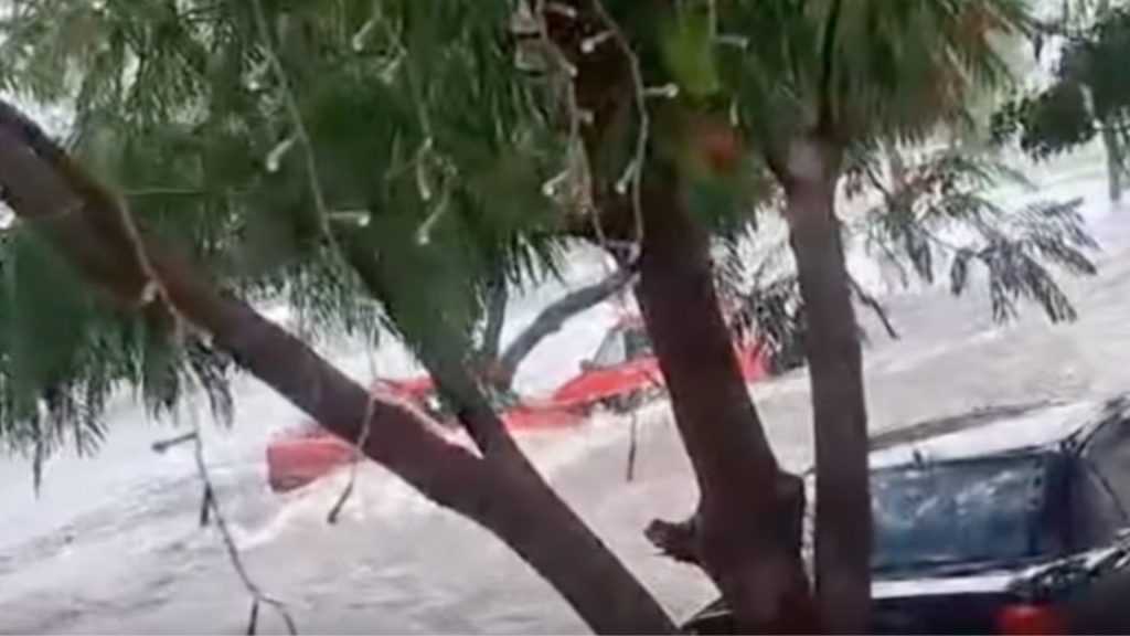 rescate de Protección Civil en Santa Catarina